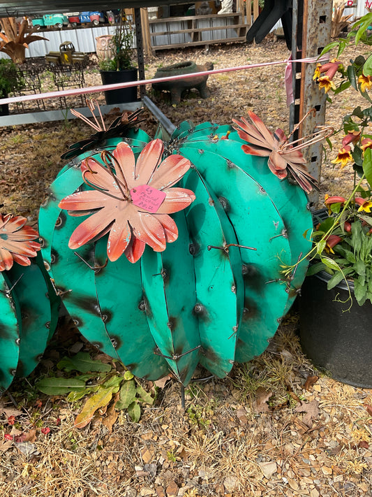Large round cactus