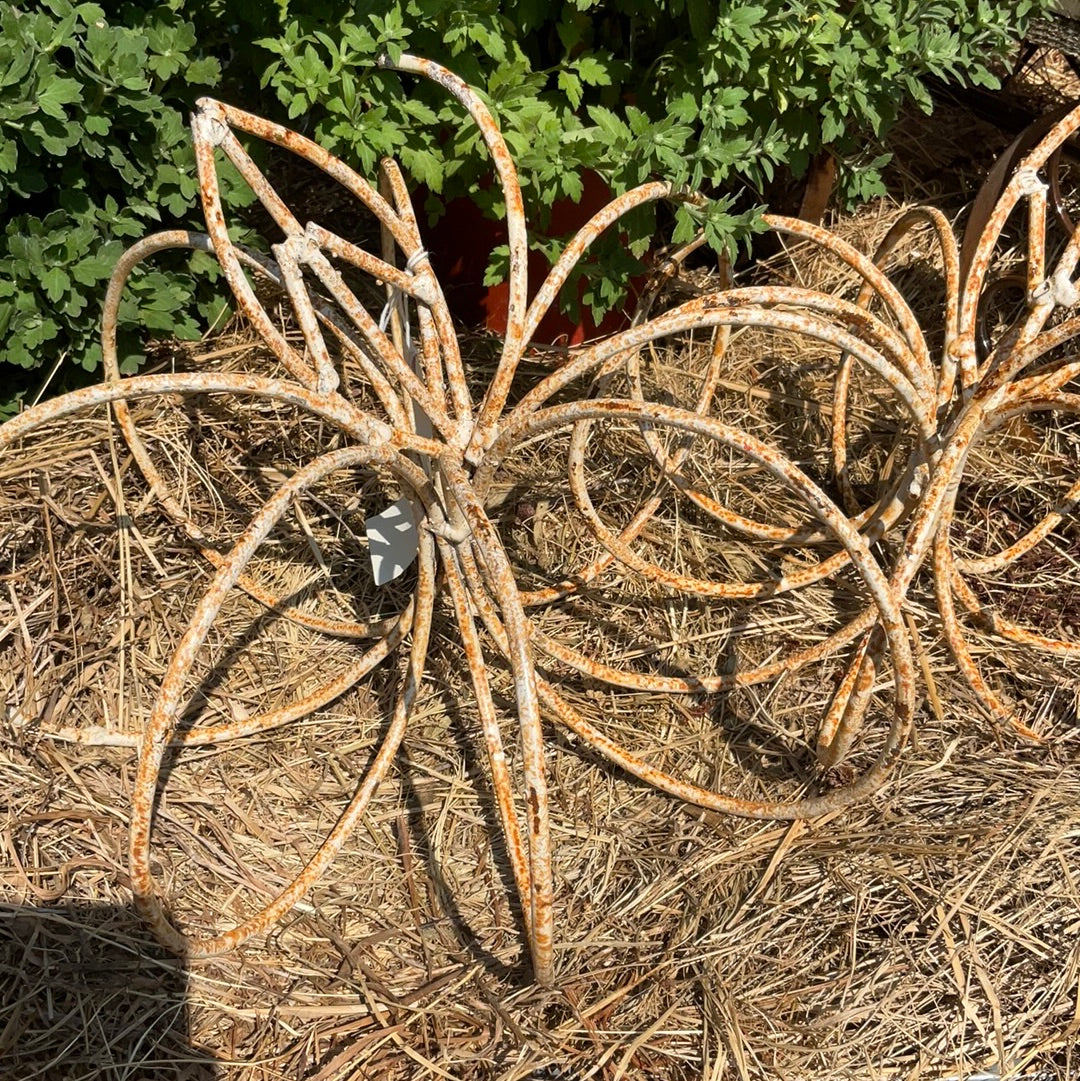 Distressed pumpkin