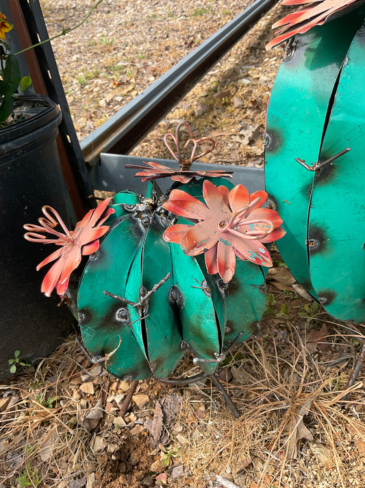 Sm Round cactus