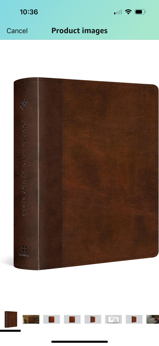 Journaling Study Bible