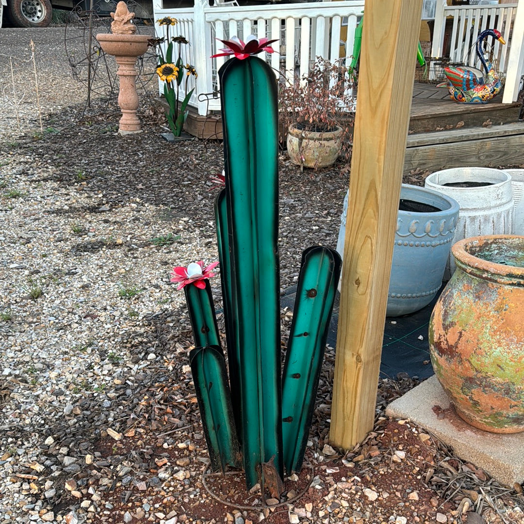 Cactus metal