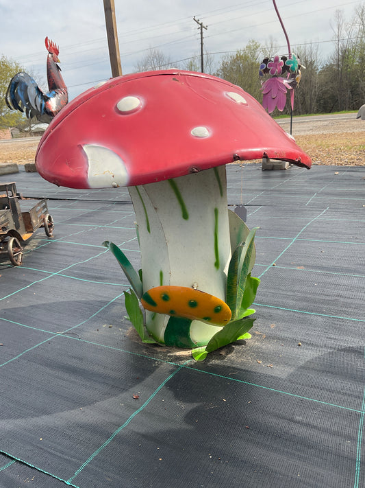 Mushroom