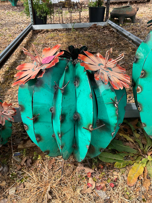 Md round cactus