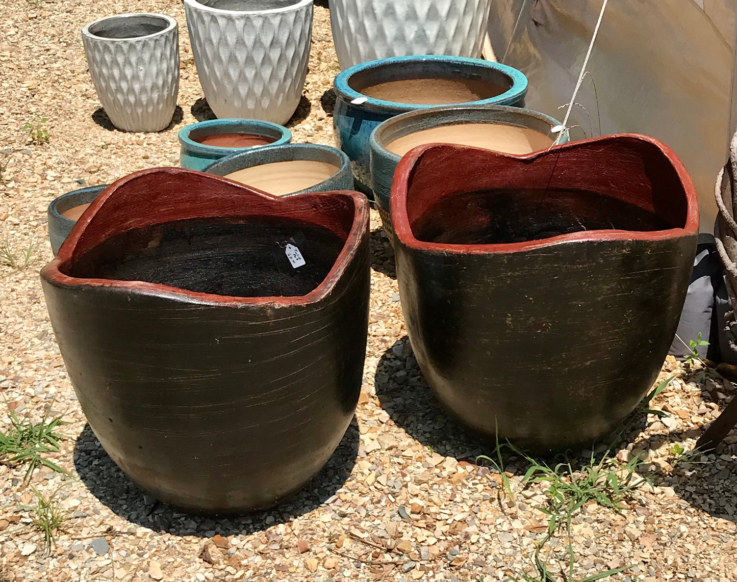 Tulip Pot