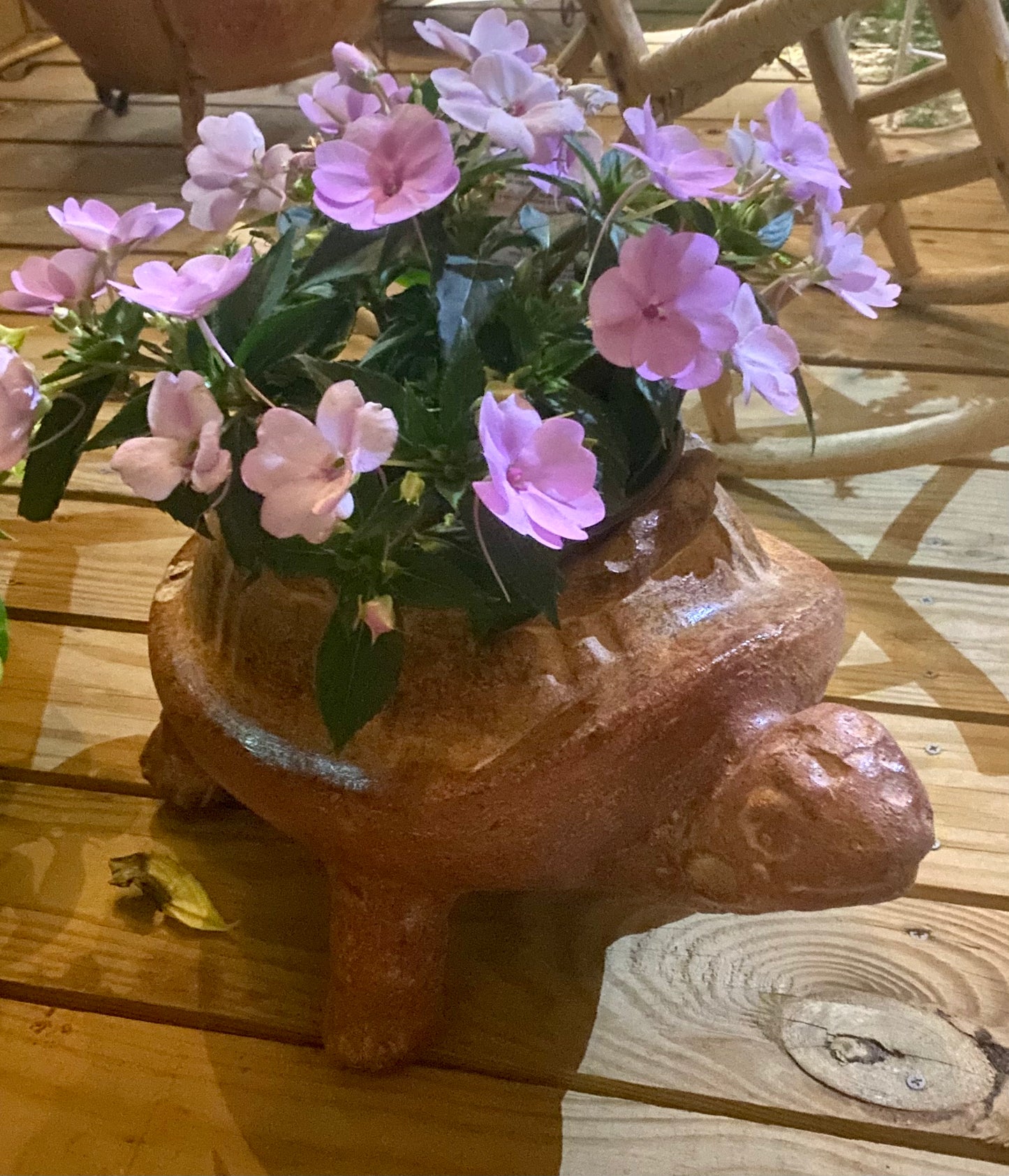 Turtle Planter