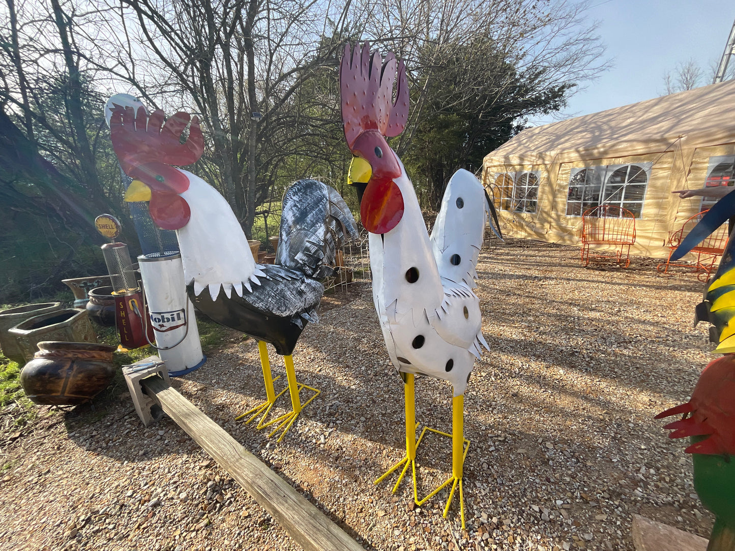 Rooster