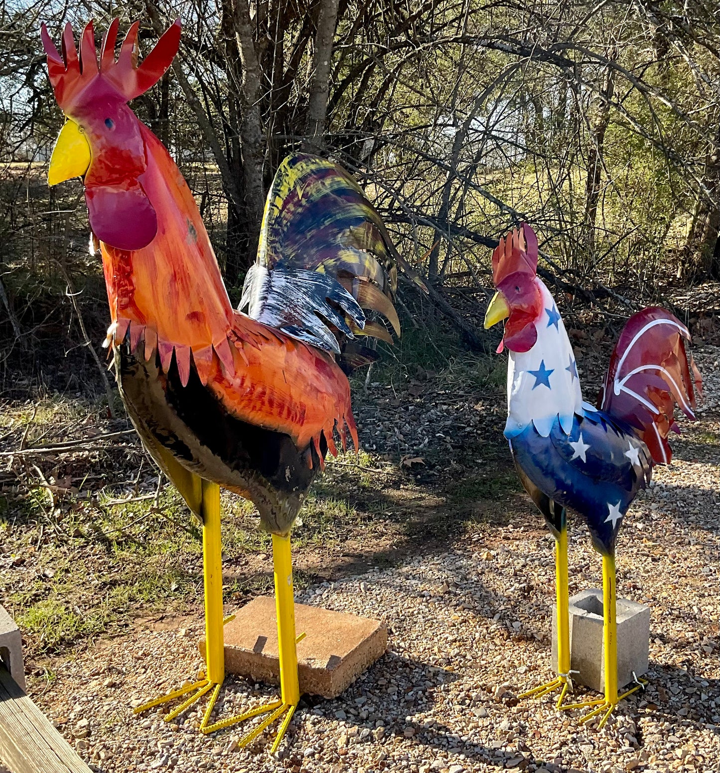 Rooster