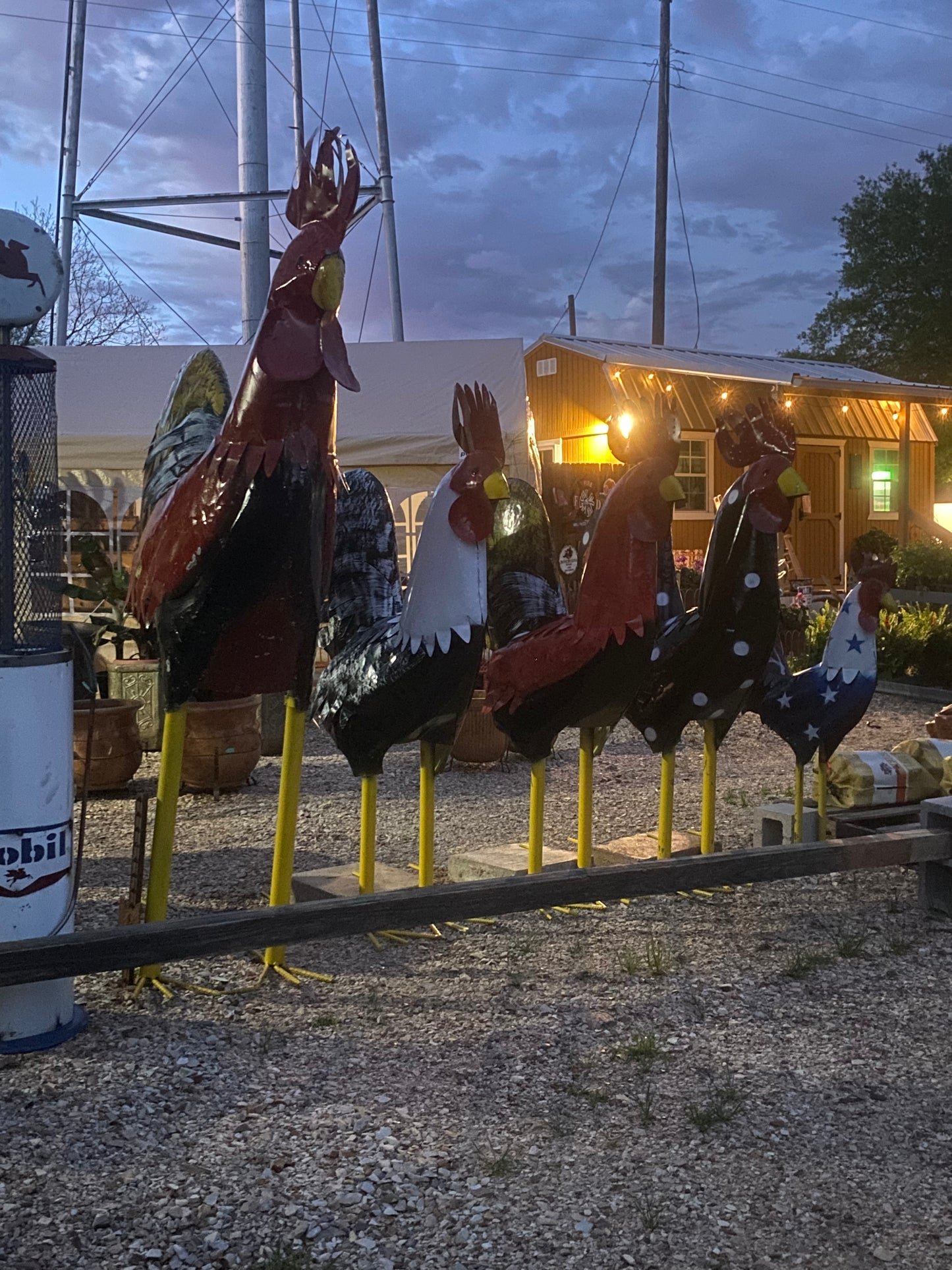 Rooster