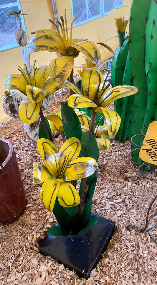 Lilly’s