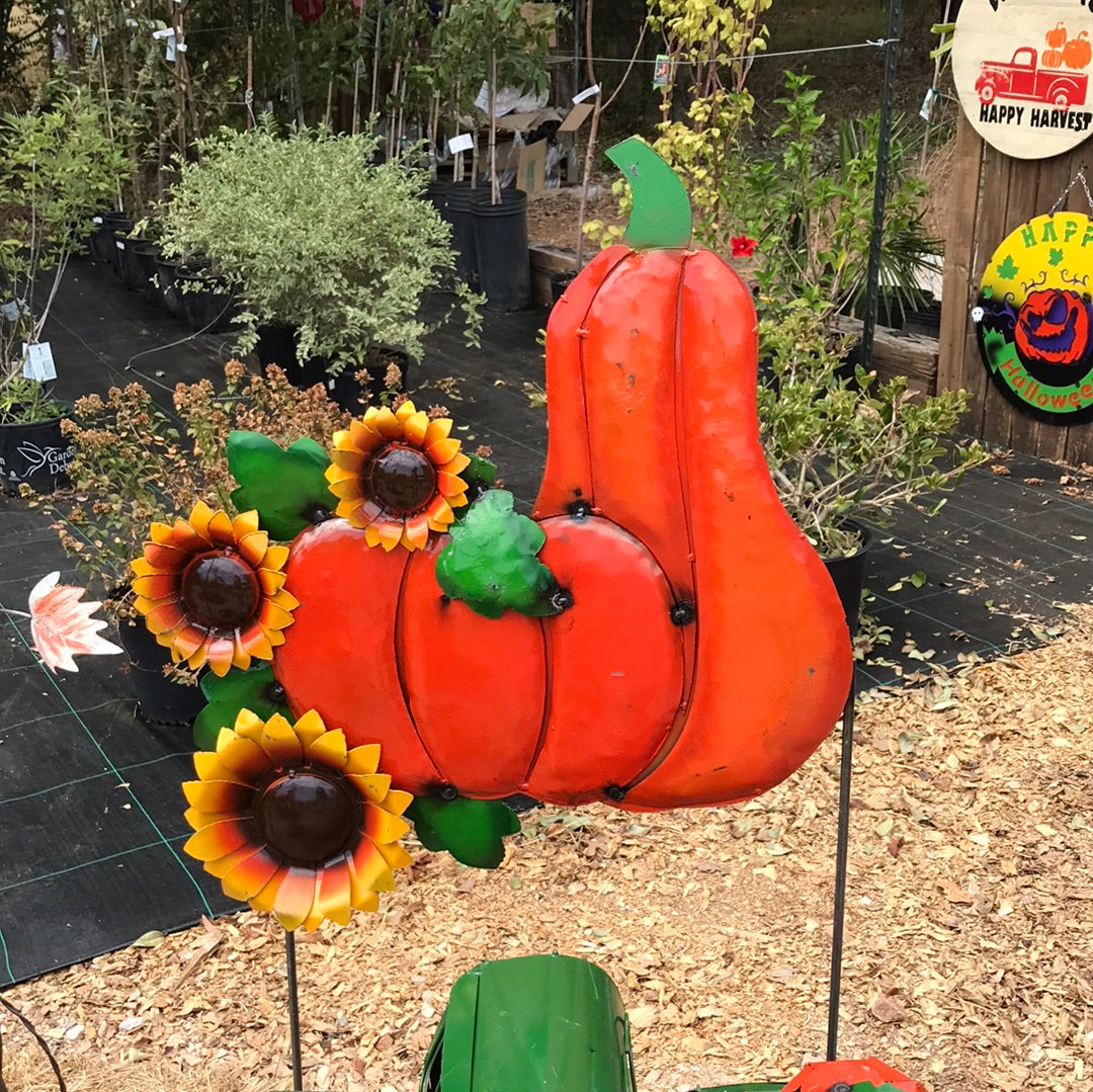 Pumpkin w/sunflower on stake