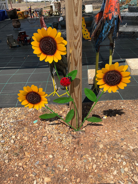 Sunflower metal medium