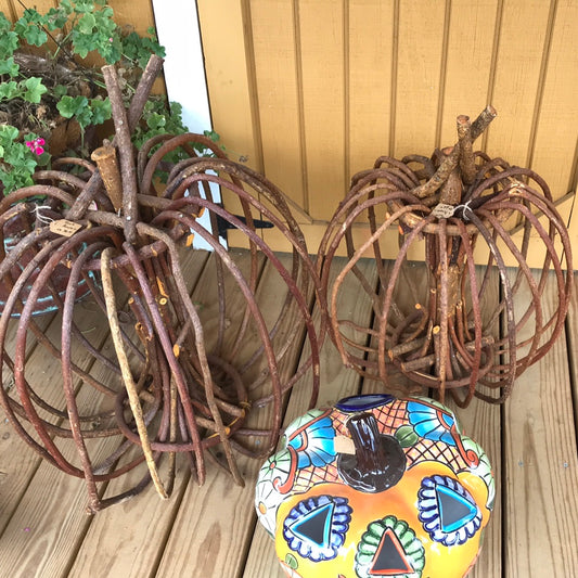 Root Pumpkin