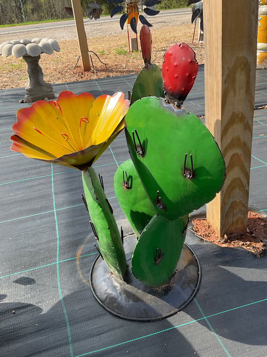Flower cactus