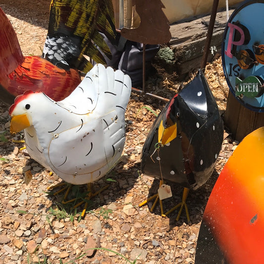 Chicken hen 1 ft