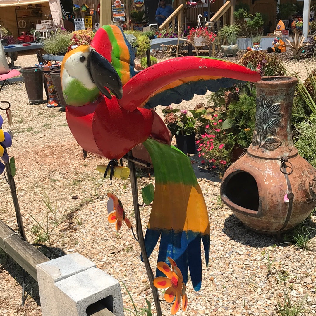 Parrot on stand