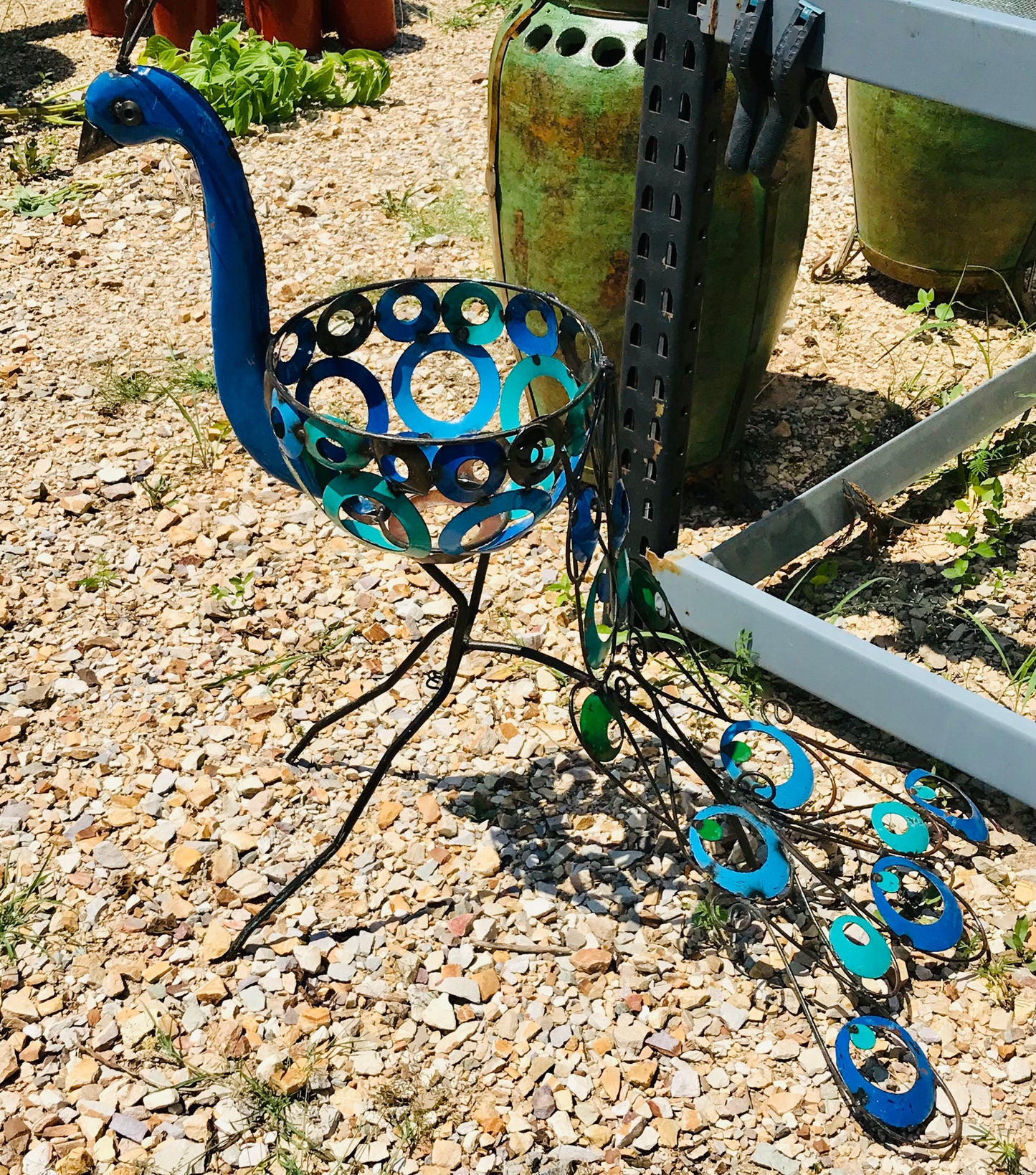 Peacock Planter