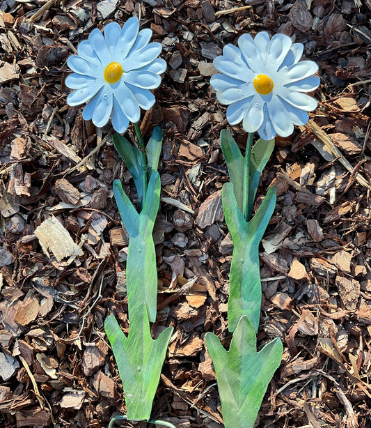 White Daisy Stake