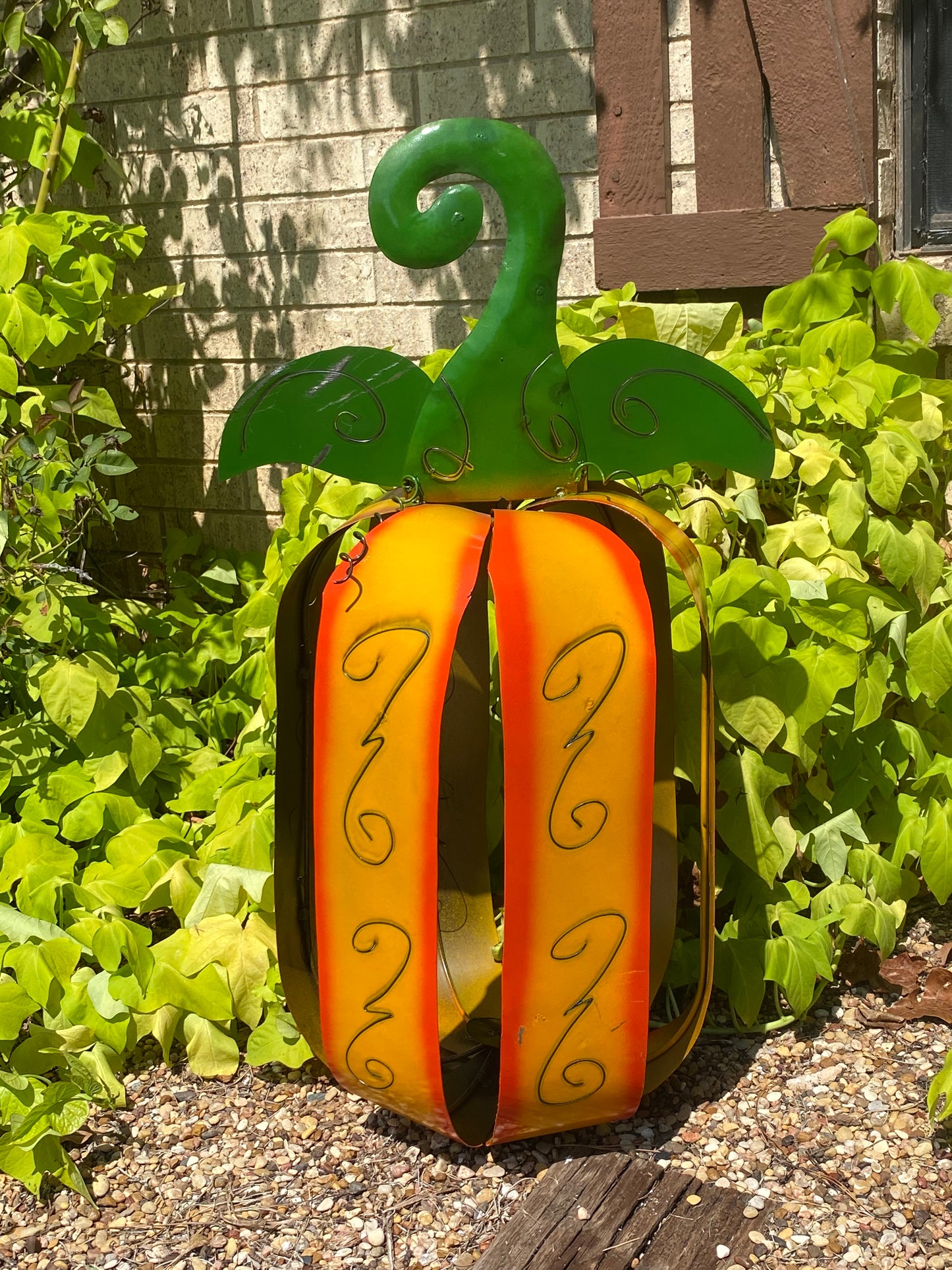 Large orange/green pumpkin