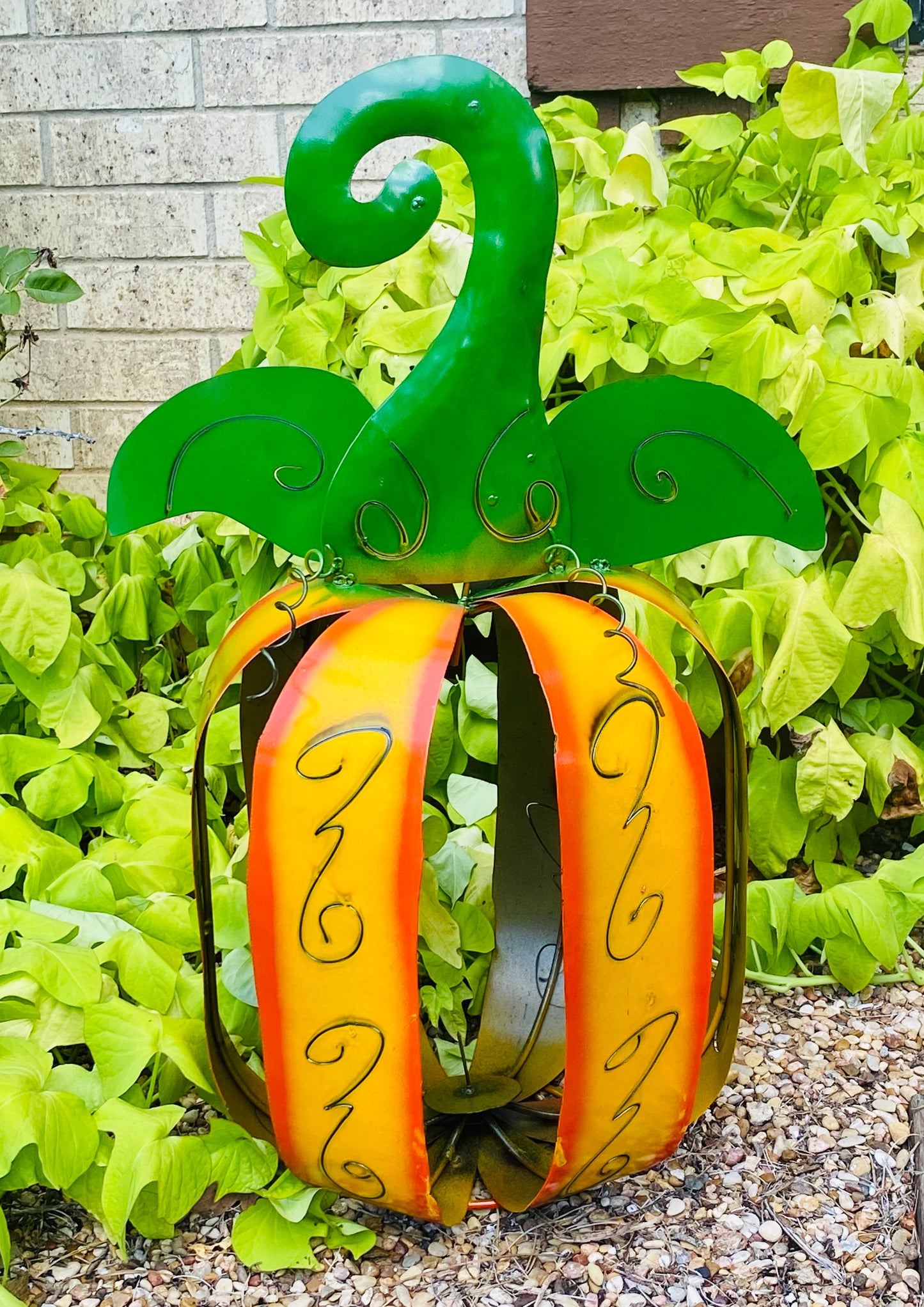 Small orange/green Pumpkin